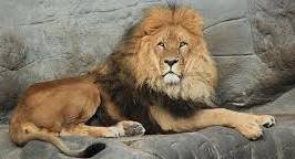 Zoos and Aquariums image